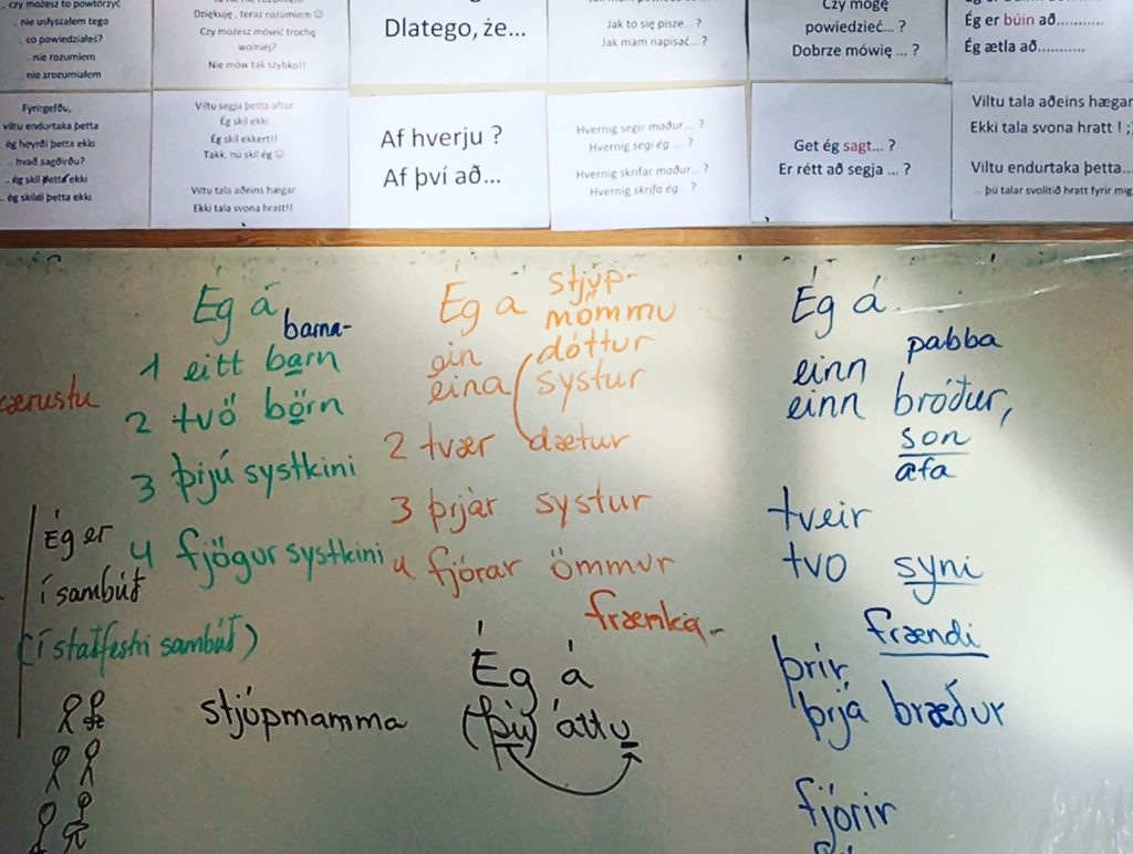 Snapshot of the lesson board during the Icelandic Level 1 Speed Course at the Tin Can Factory 
