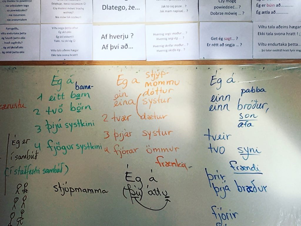 Snapshot of the lesson board during the Icelandic Level 1 Speed Course at the Tin Can Factory 
