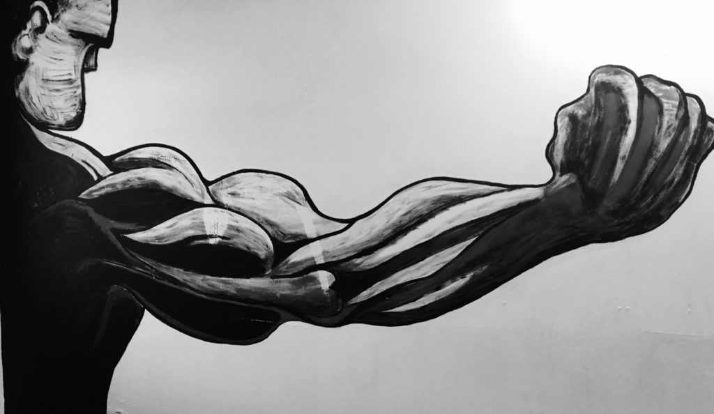Extremely muscular photo in boxing gym in Reykjavík, Iceland