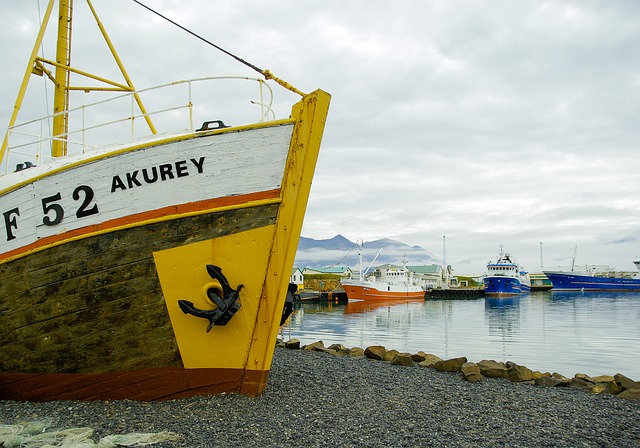 Icelandic fishing port