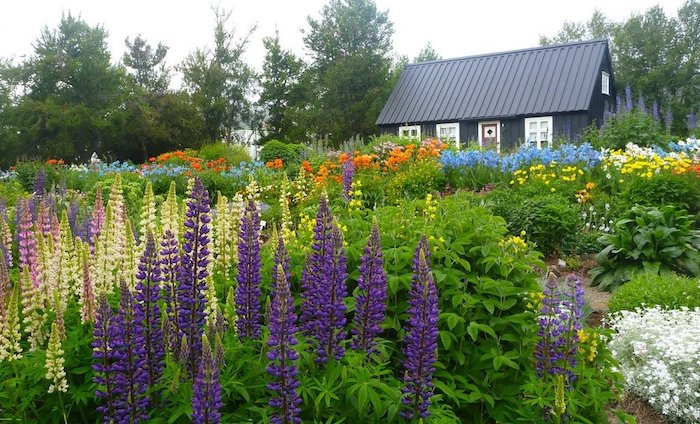 Akureyri Botanical Gardens