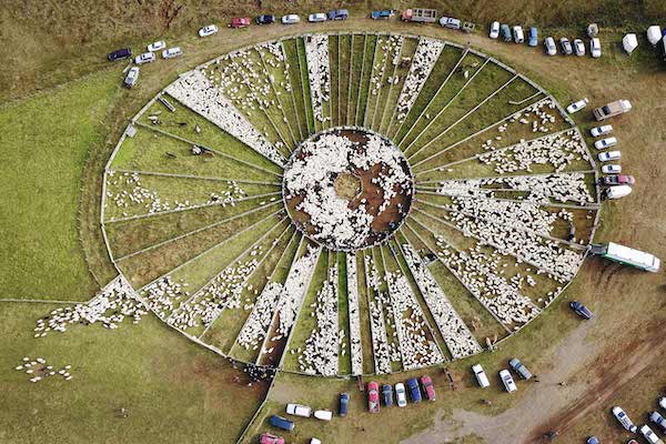 Birds eye view of a Réttir in Iceland - Photo by Ross Weinberg - All Things Iceland podcast